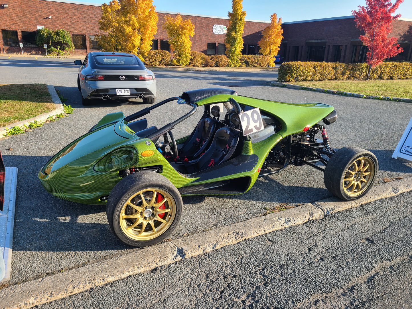 Carrosserie complète du T-REX en fibre de carbone